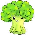 Brokoli Fidesi